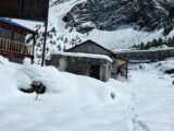 हुम्लामा भारी हिमपातः जनजीवन कष्टकर